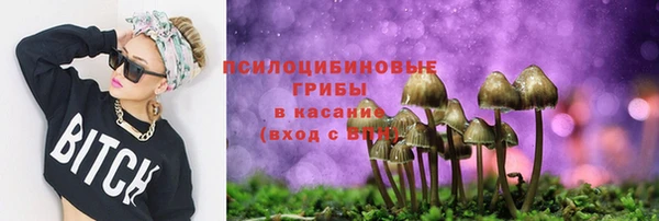 apvp Гусь-Хрустальный