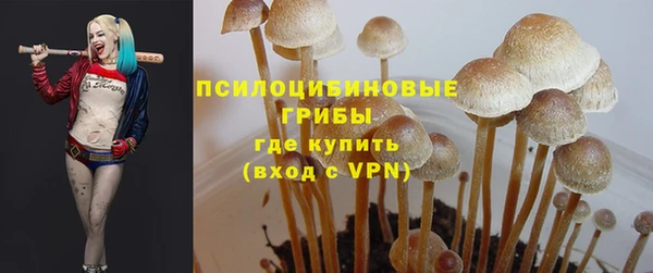 spice Гусев