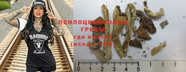 spice Гусев