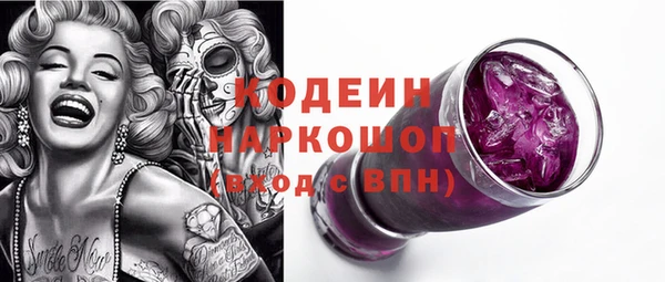spice Гусев